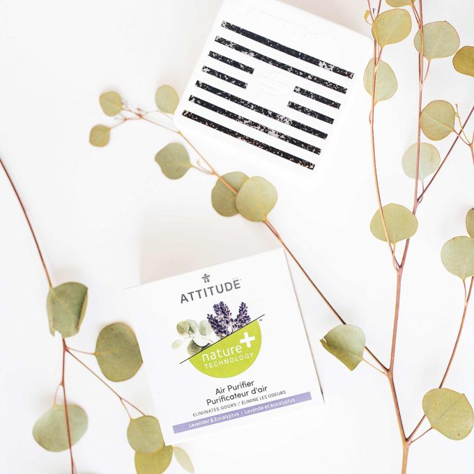 Air Purifier