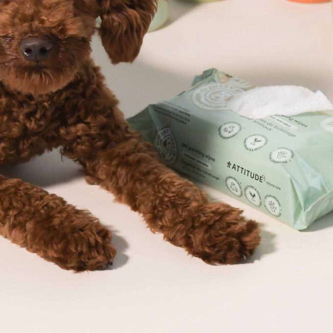 Pet Grooming Wipes